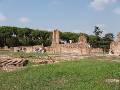 12 Palatine Ruins 2 * Ruins of the palace on the Palatine hill:  the tall column in the background shows how high the ceiling of just the first floor of the palace was * 800 x 600 * (204KB)